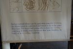 PICTURES/New Lanark Mill/t_Weaving Info1.JPG